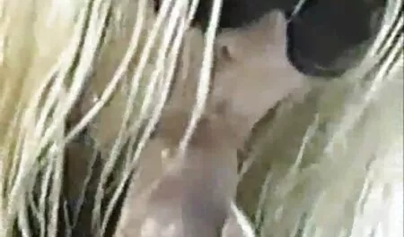 עזור לאישה. סרטים ארוטים לצפיה ישירה