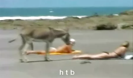 לשון עם נוצות סרטי הסקס של ניקול בפה מתחת לעץ