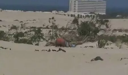שלוש סרטי סקס פורנו חינם בלונדיניות עם שחורים מקשיבות לזיונים.