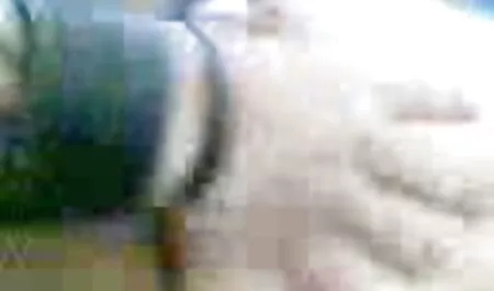 חתולה נקבה אהובה סרטים ארוטיים לצפייה ישירה בחינם